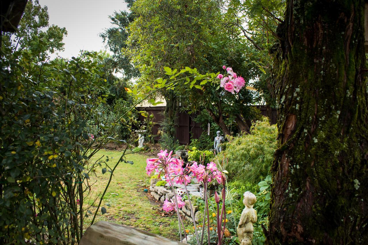 Holland House Bed & Breakfast 纳尔逊 外观 照片